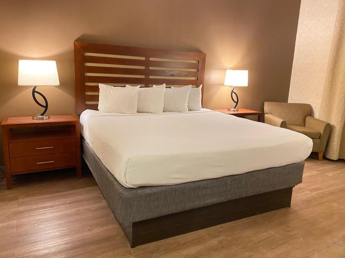 Wyndham Garden Grand Rapids Airport Hotel Cascade Bagian luar foto