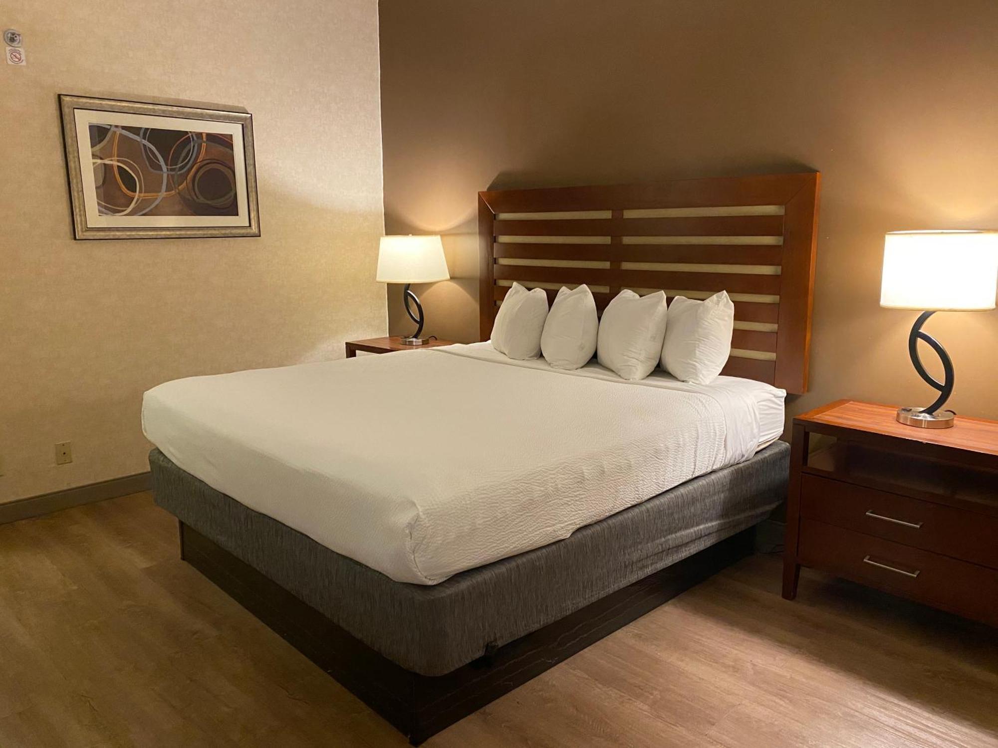 Wyndham Garden Grand Rapids Airport Hotel Cascade Bagian luar foto