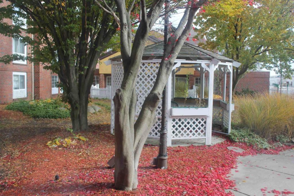 Wyndham Garden Grand Rapids Airport Hotel Cascade Bagian luar foto